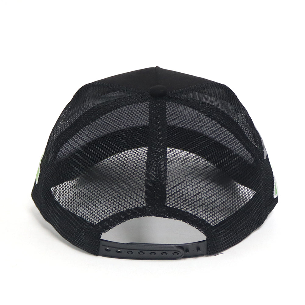 UNIDENTIFIED STORMING SNAPBACK